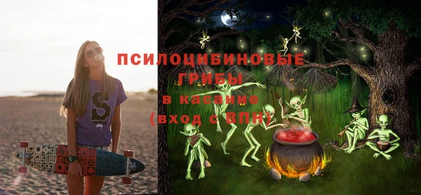 соль ск Алексеевка