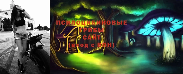 соль ск Алексеевка